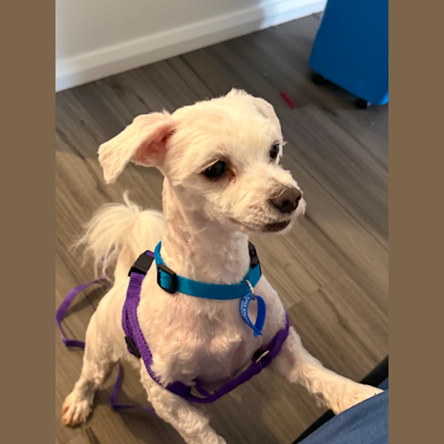 Photo of Benny