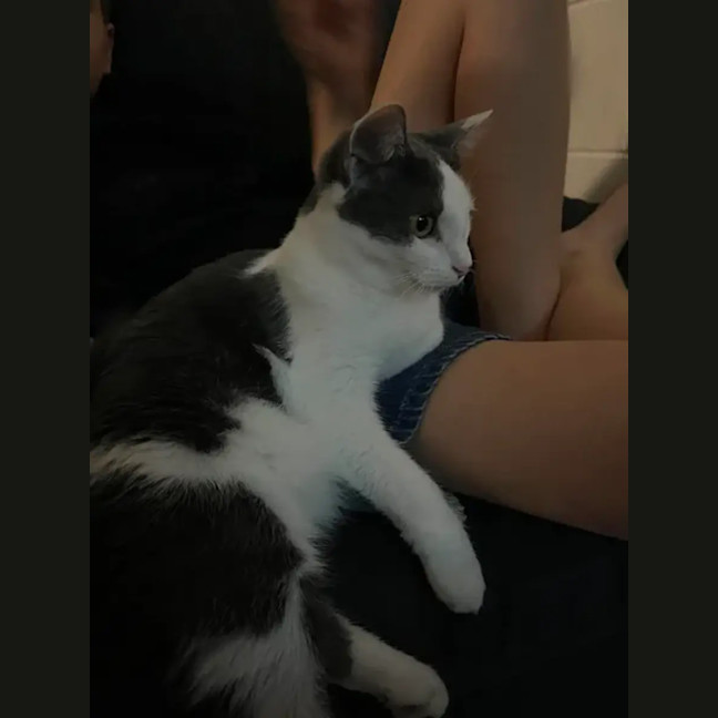 Photo of Pearl