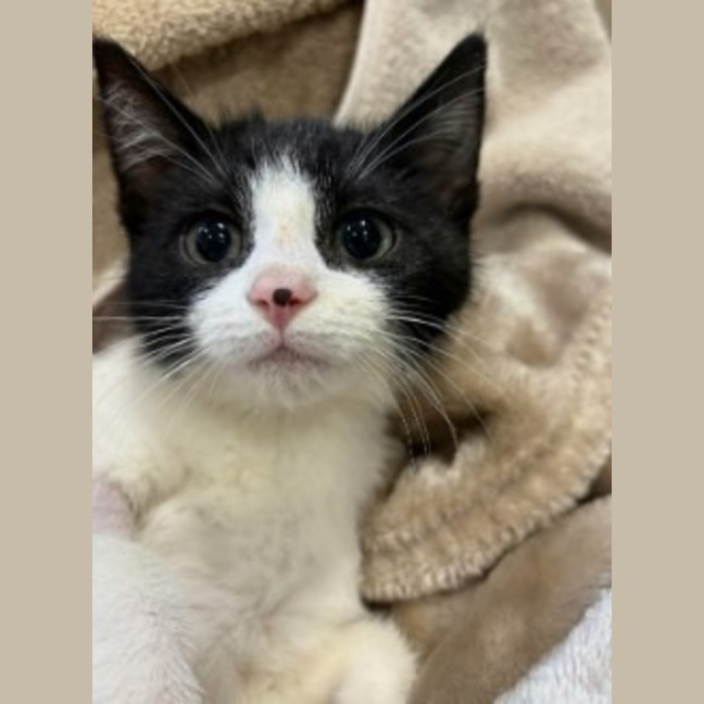 Photo of Sailor