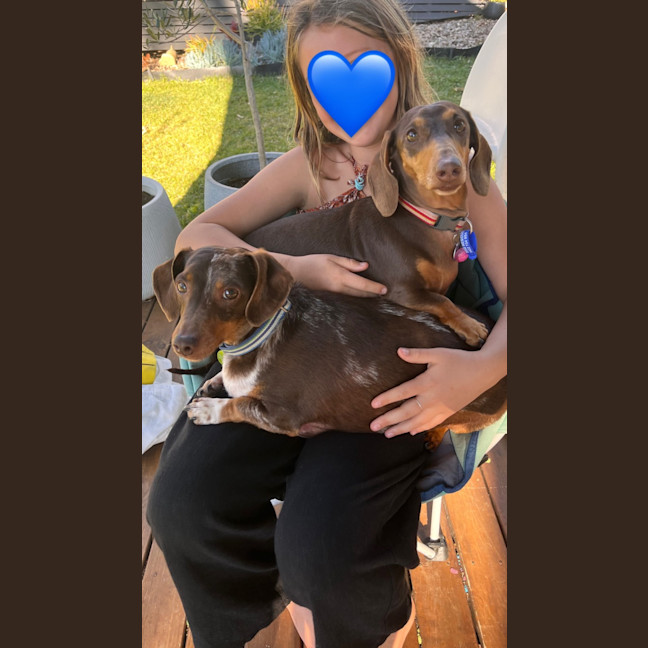 Photo of Millie & Ollie 