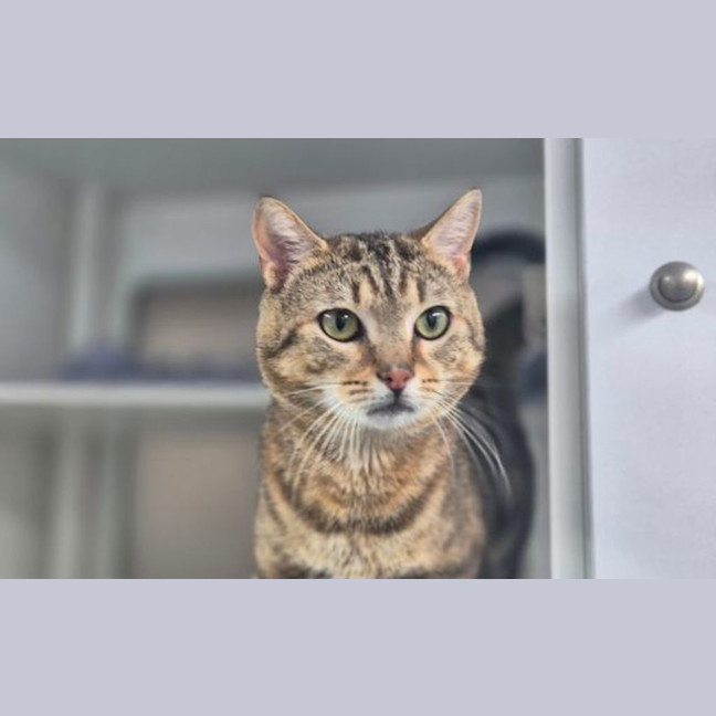 Photo of Millicent