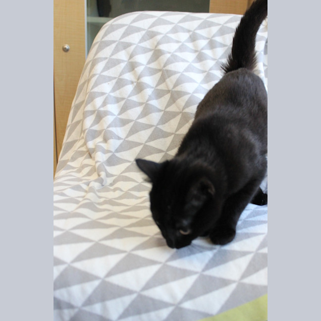 Photo of Dolce (Et Gabbana)