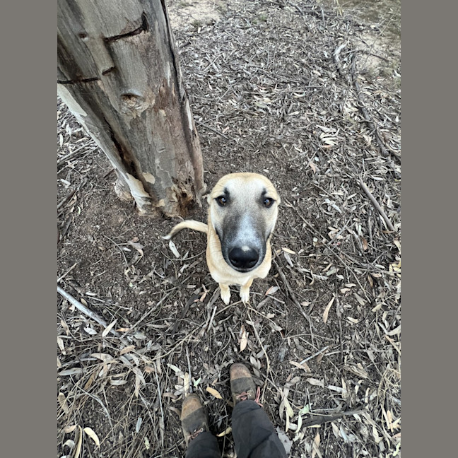 Photo of Xena