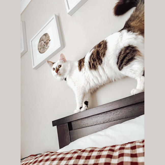 Photo of Julian