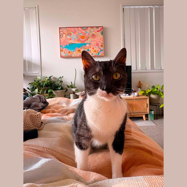 Photo of Maggie