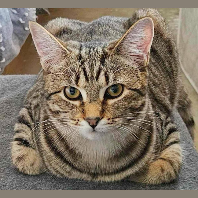 Photo of 11900   April