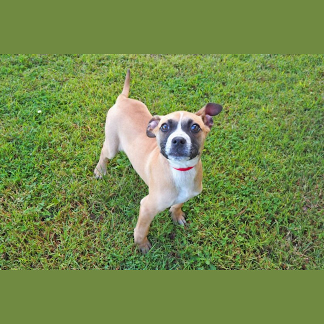 Photo of Fonzie