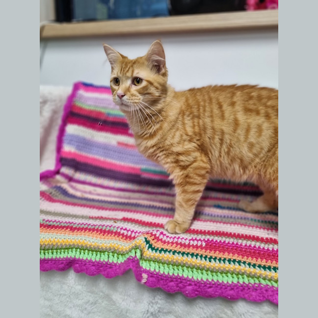 Photo of Butterball