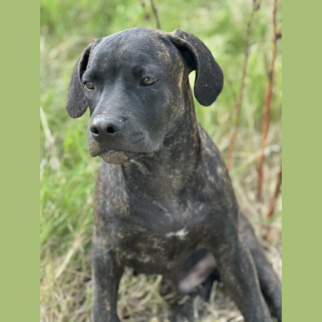 Photo of Tyrone