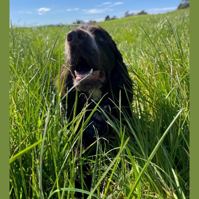 Photo of Khai Illingworth