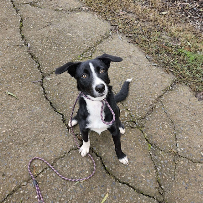 Photo of Freya