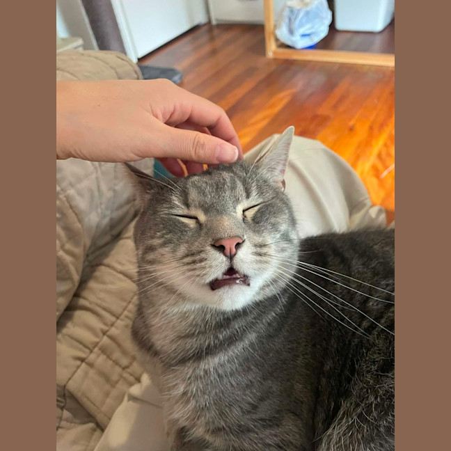 Photo of Tex