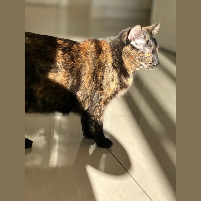 Photo of Samantha