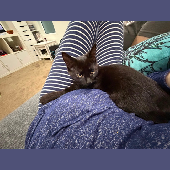 Photo of Lilith