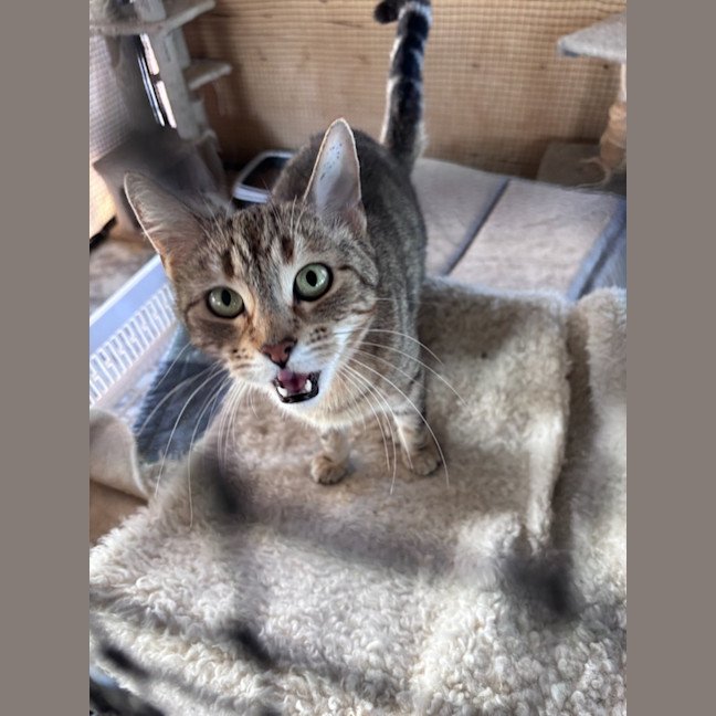 Photo of Lulu