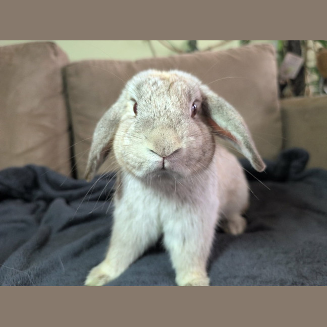 Photo of Tim Tam