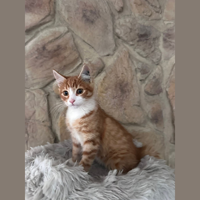 Photo of Pj