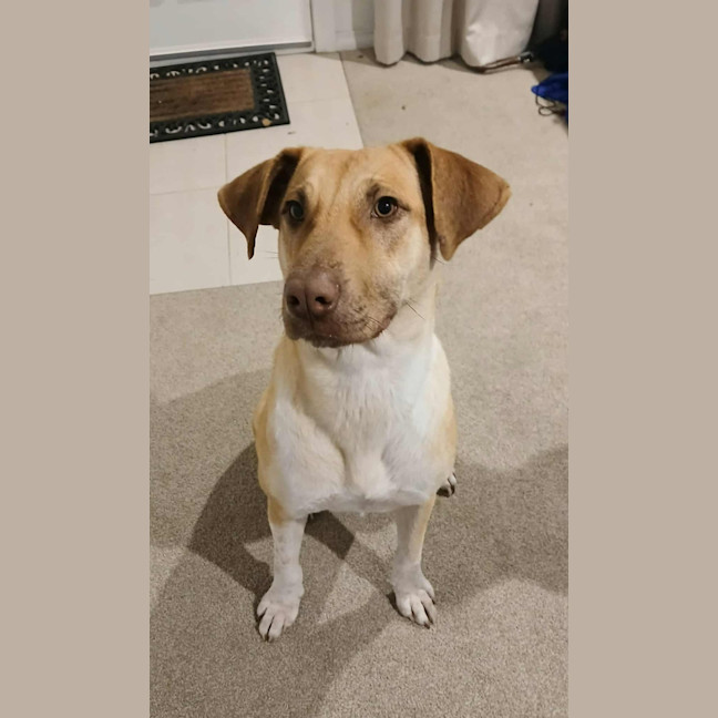 Photo of Missy 