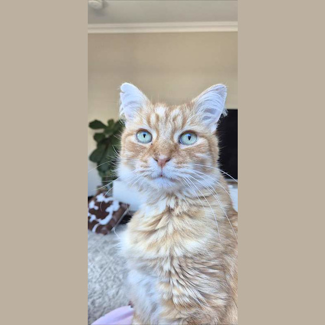 Photo of Nin Nin