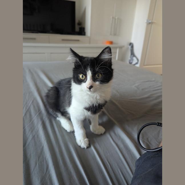 Photo of Nini 