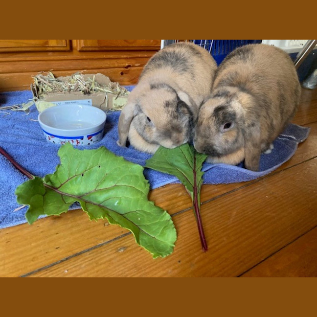 Photo of Patty & Selma