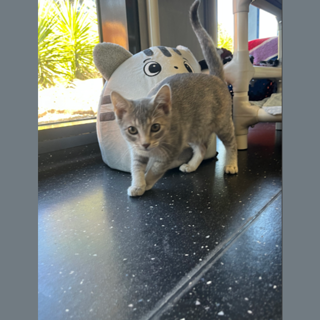 Photo of Funshine