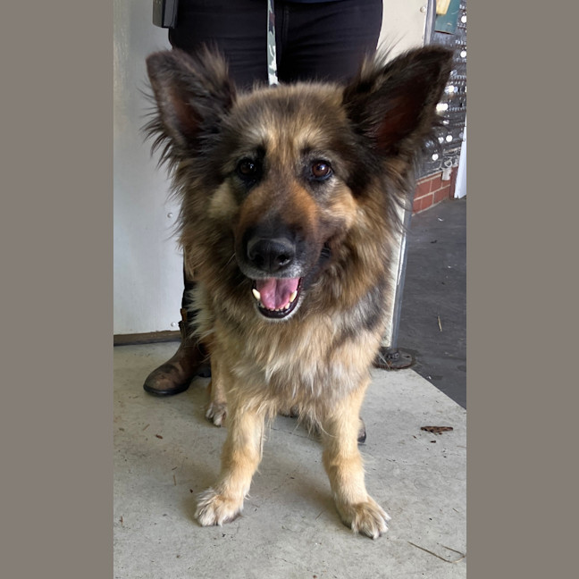 Photo of Lucy