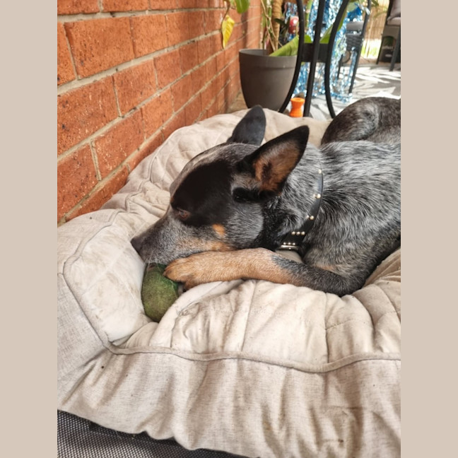 Photo of Jessie