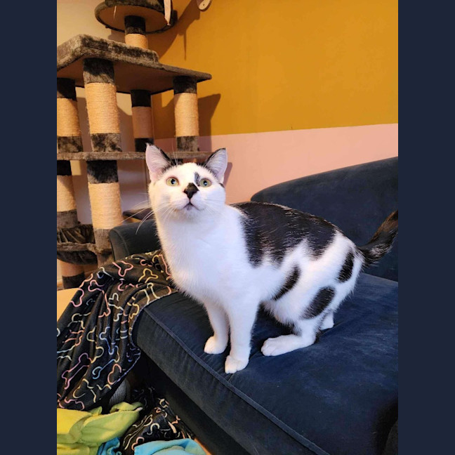 Photo of Charlie