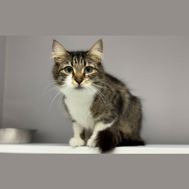 Photo of Winnie