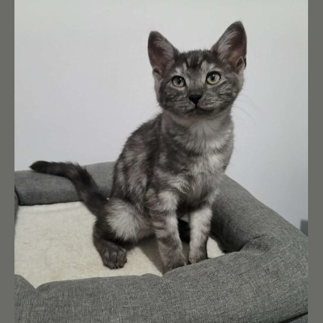 Photo of Harriet