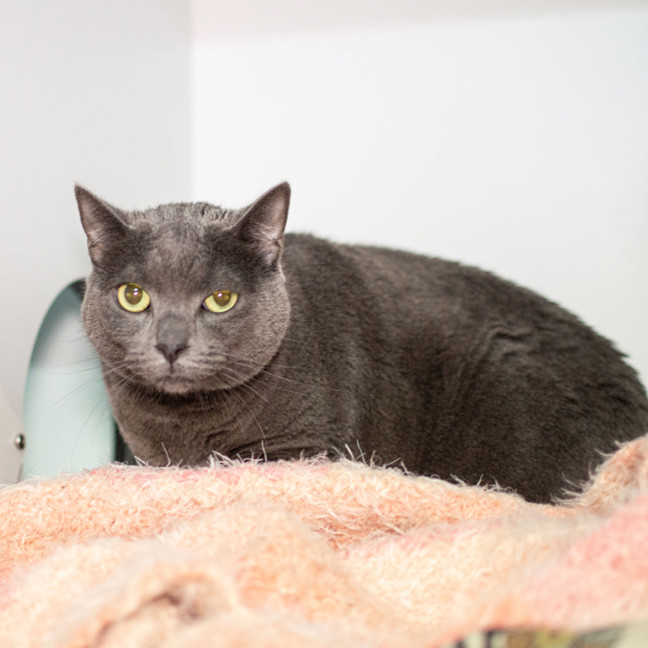 Photo of Missy