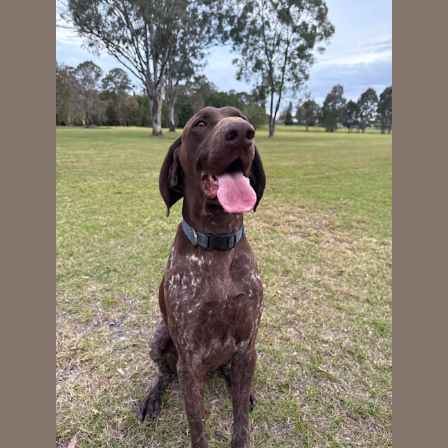 Photo of Cash