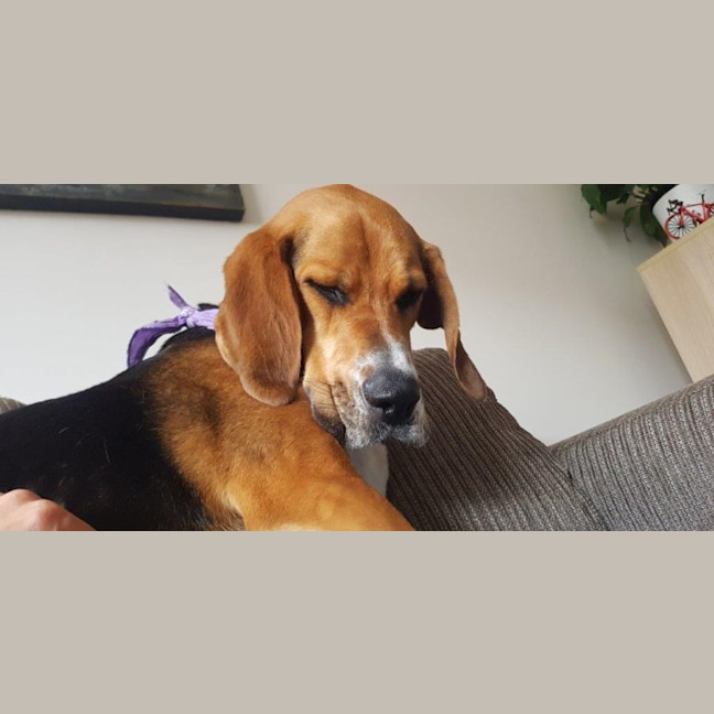 Photo of Lola Wilberforce