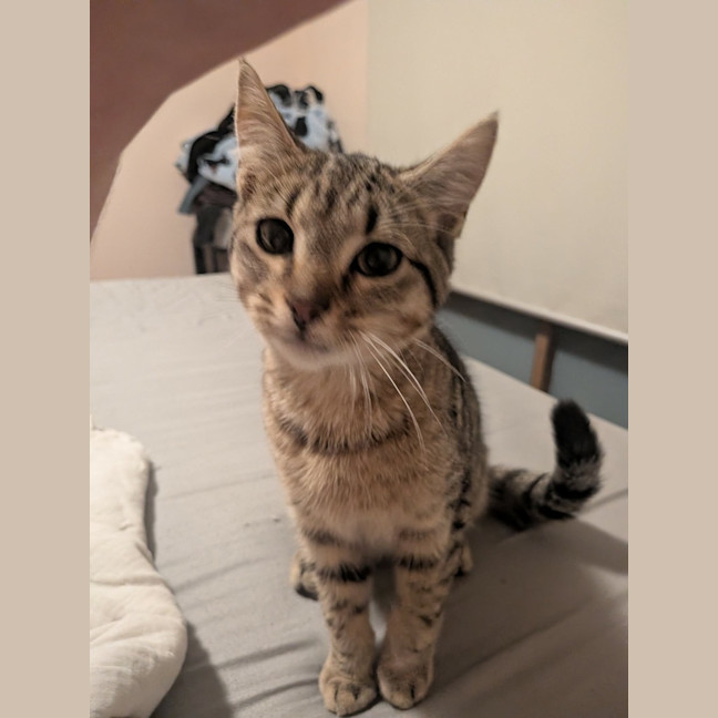 Photo of Butters