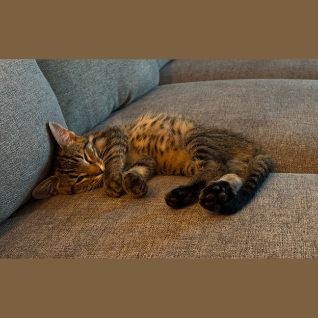 Photo of Wonka