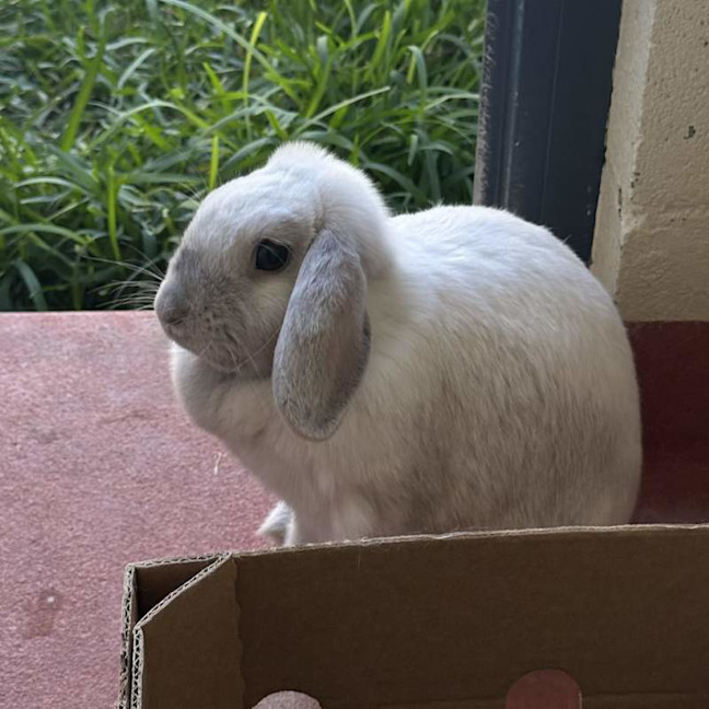 Photo of Yumi