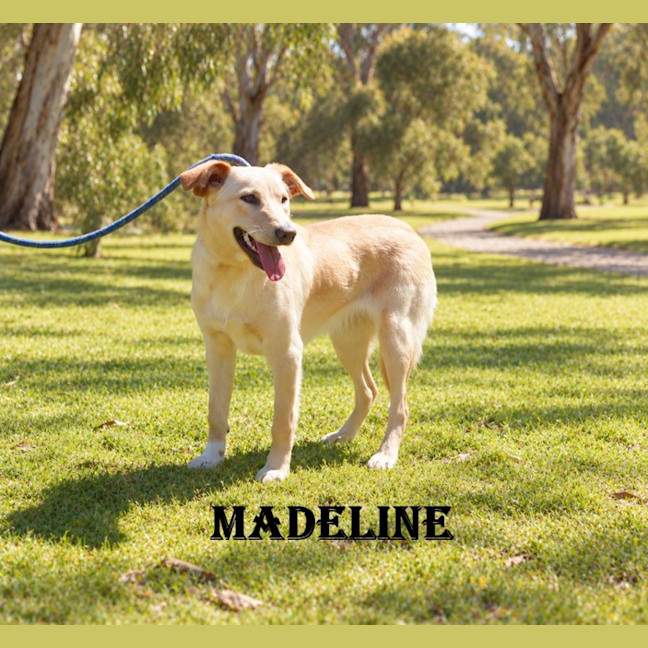 Photo of Madeline