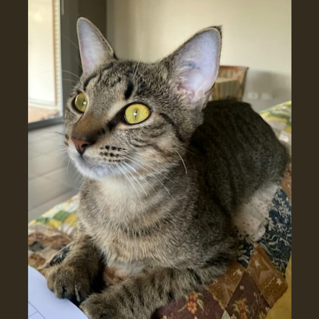 Photo of Freda