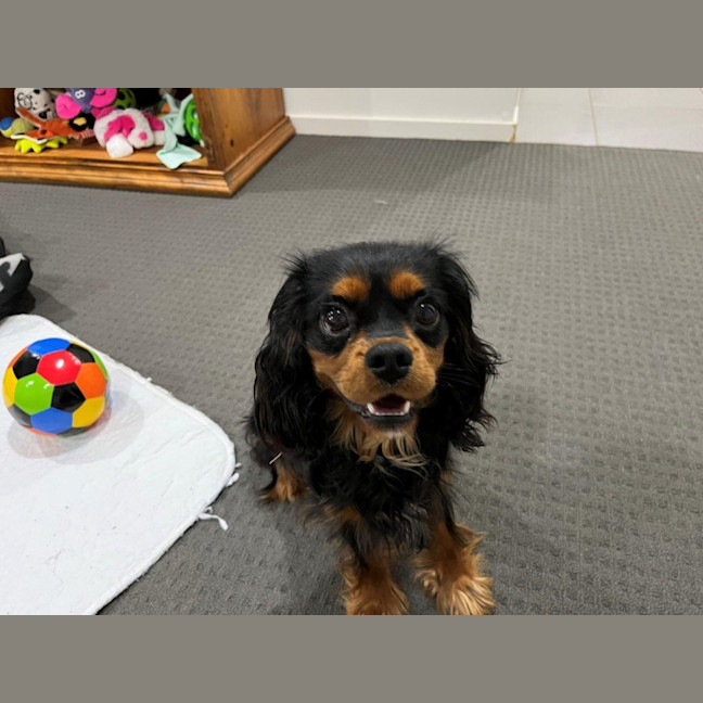 Photo of Walter Quinnell