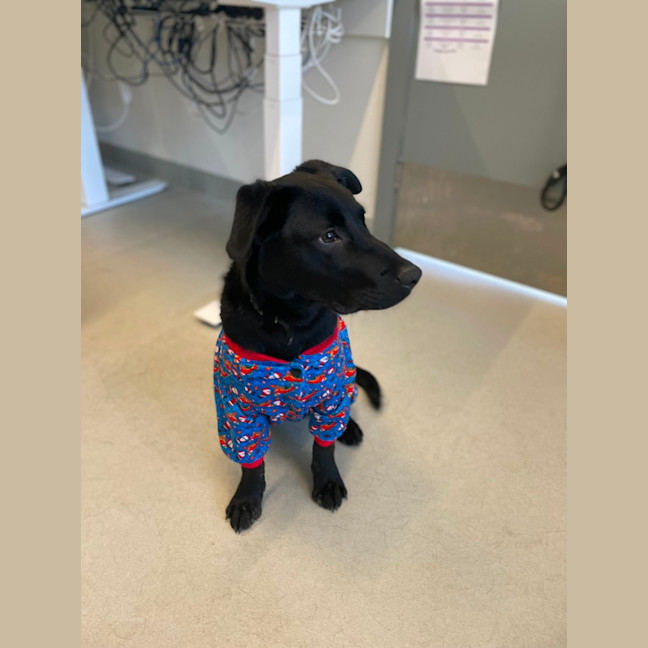 Photo of 🛴 Enzo 5574 🛴