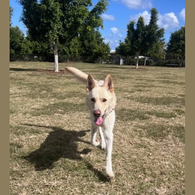 Photo of Polar
