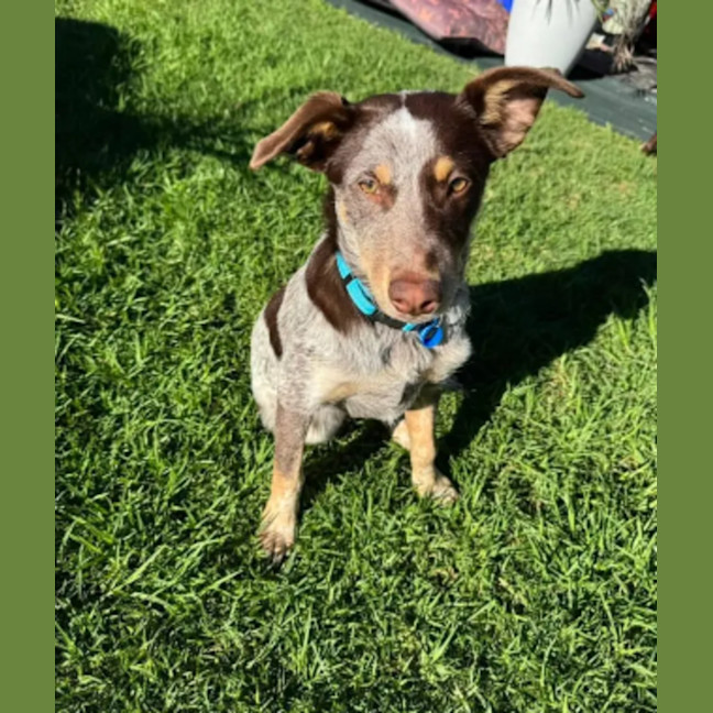 Photo of Cash