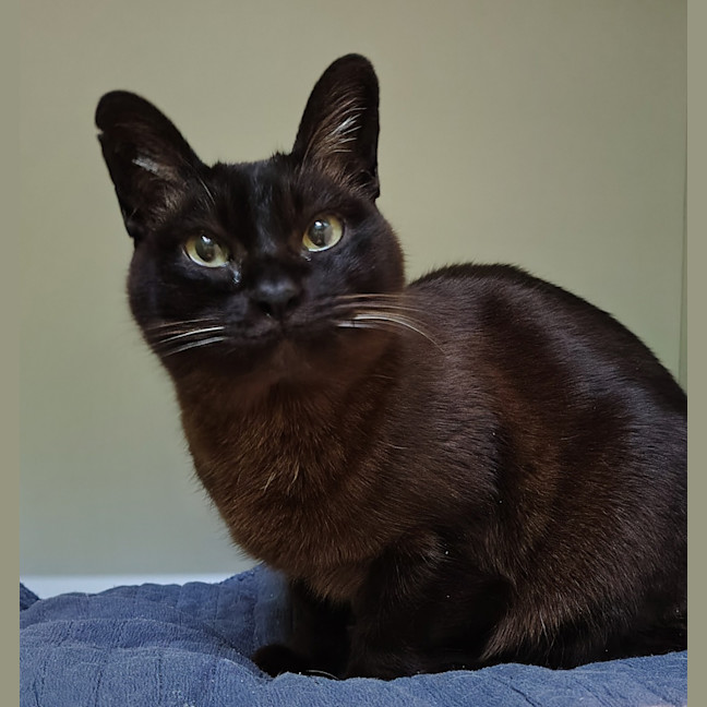 Photo of Kiki
