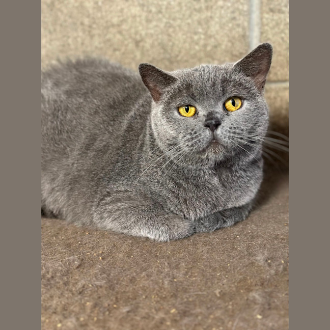 Photo of Fafa And Britt