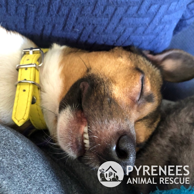 Photo of Bert And Ernie