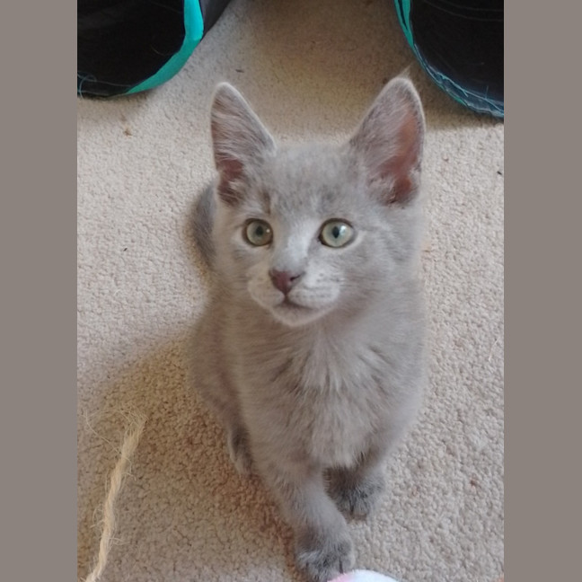 Photo of Storm