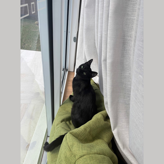 Photo of Merp (Previously Leanne) 