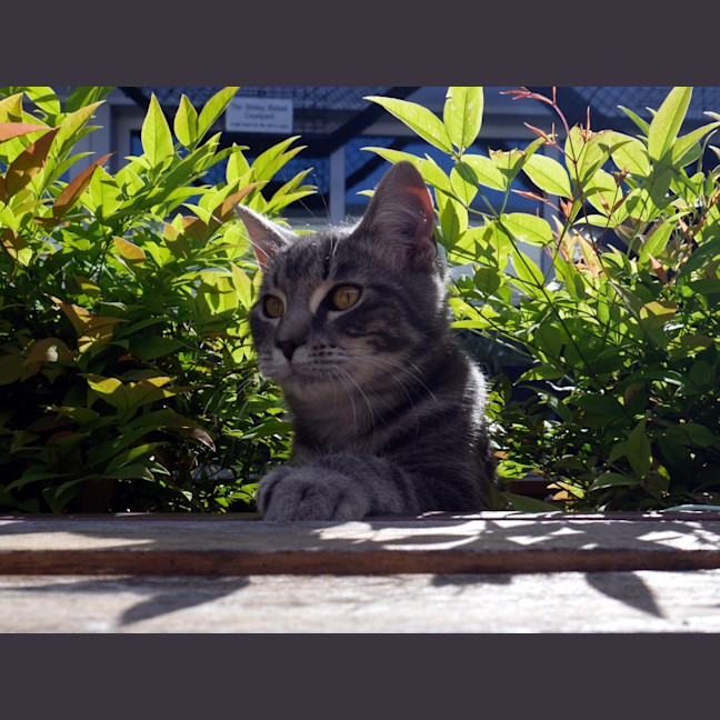 Photo of Jeremy Stk012743