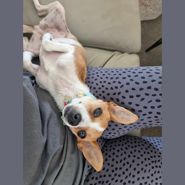 Photo of Dizzy